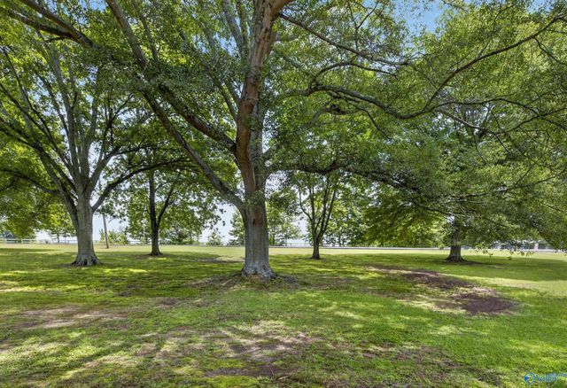34 Weatherly Avenue, Albertville, AL 35950