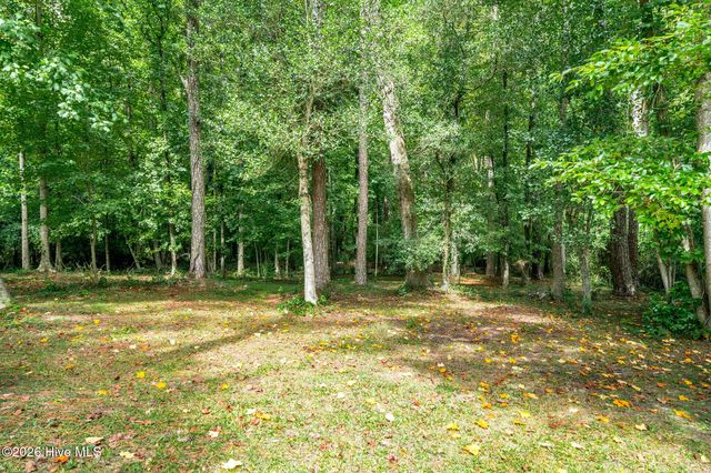 146 Chicken Neck Road, Teachey, NC 28464