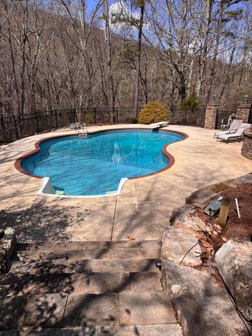 1558 Powder Springs Circle, Flintstone, GA 30725