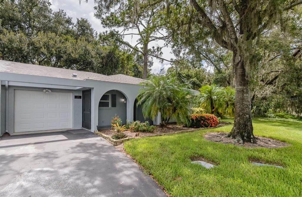 1210 PALMER LANE, Palm Harbor, FL 34685