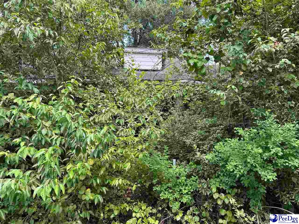 112 Heard St, Florence, SC 29506