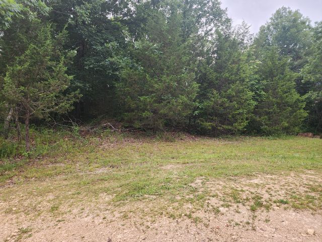 1135 Cane Ridge Rd, Hohenwald, TN 38462
