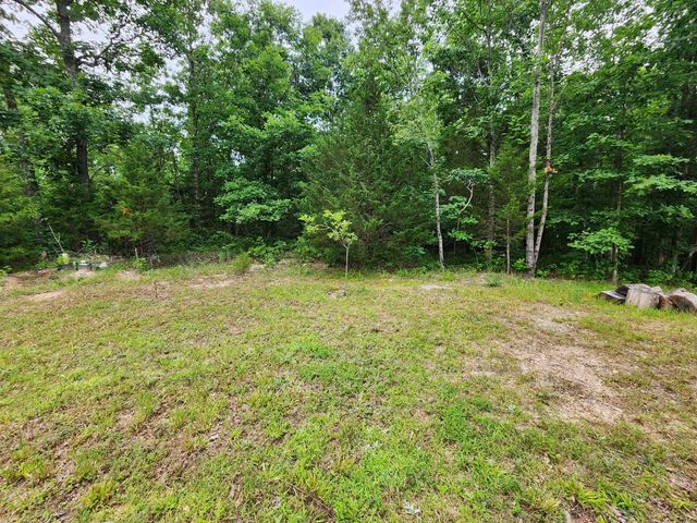 1135 Cane Ridge Rd, Hohenwald, TN 38462