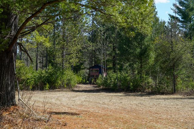 5840 Wildwood Road, Alger, MI 48610