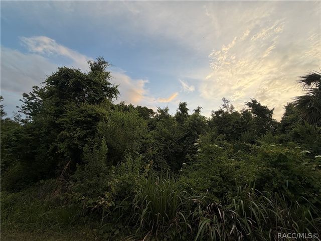 1062 N Fan Palm Point, Crystal River, FL 34429