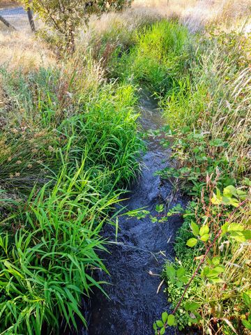 10516 Spring Valley Rd, Marysville, CA 95901