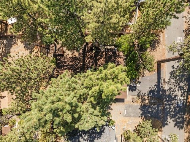 1498 Oriole Road, Wrightwood, CA 92397