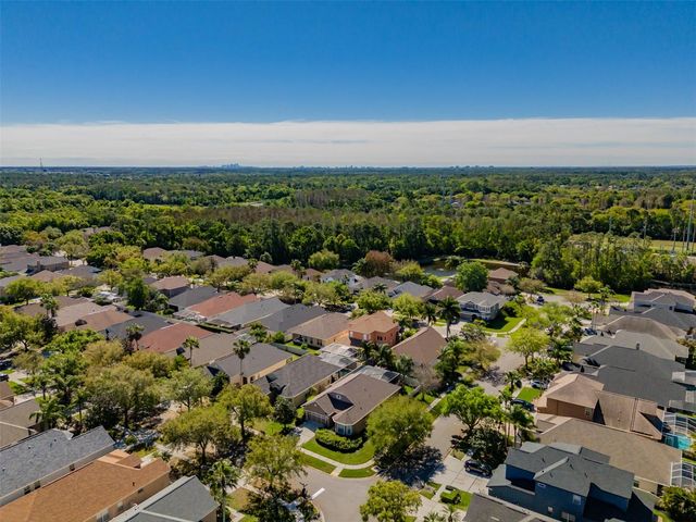 11618 WHITEROOK COURT, Tampa, FL 33626