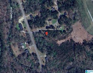 9246 INDIAN VALLEY DRIVE, Adger, AL 35006