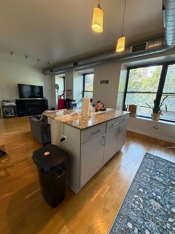 4537 S Drexel Boulevard 203, Chicago, IL 60653
