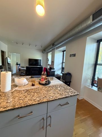 4537 S Drexel Boulevard 203, Chicago, IL 60653