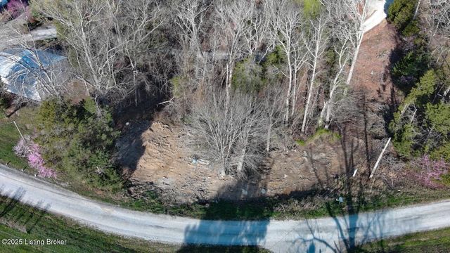 199 Tammy Ln, Clarkson, KY 42726