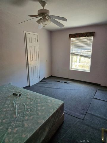 36255 Grapevine Canyon Road, Ranchita, CA 92066