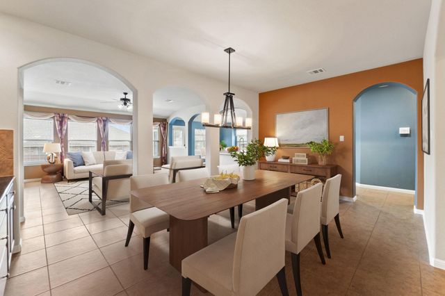 204 Hale Irwin DR, Round Rock, TX 78664