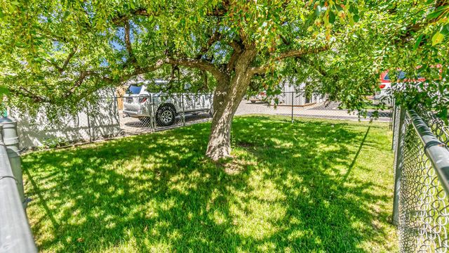 556 W 6th Street, Palisade, CO 81526