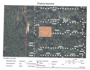 Lots 25-29 UNASSIGNED, Hawthorne, FL 32640
