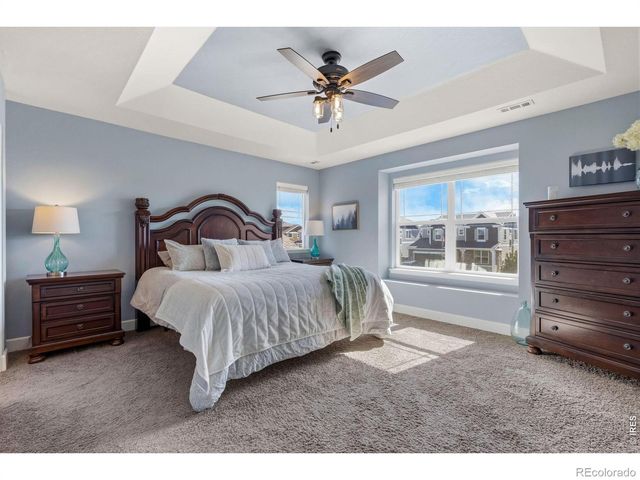 174 Halibut Drive, Windsor, CO 80550