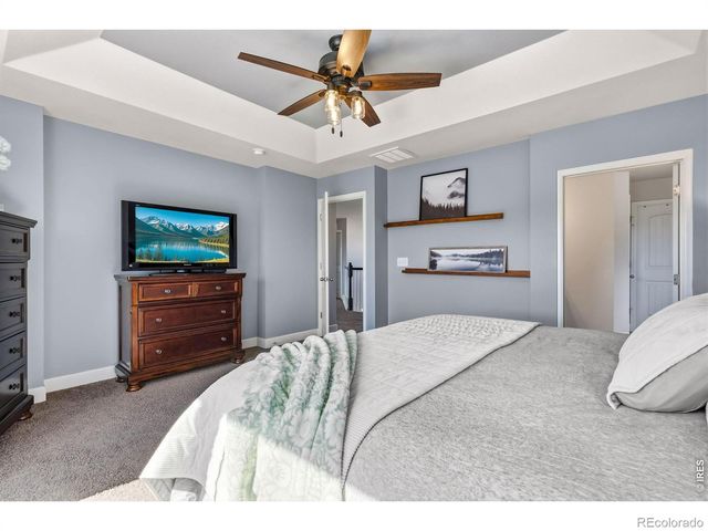 174 Halibut Drive, Windsor, CO 80550