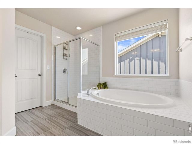 174 Halibut Drive, Windsor, CO 80550