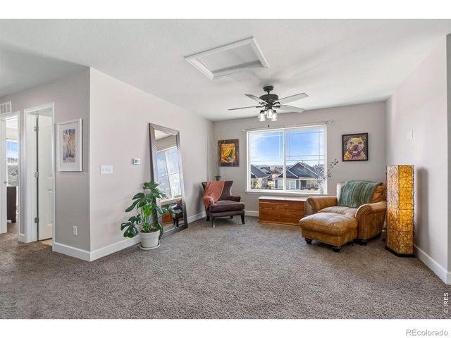 174 Halibut Drive, Windsor, CO 80550