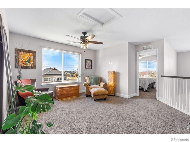 174 Halibut Drive, Windsor, CO 80550