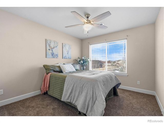 174 Halibut Drive, Windsor, CO 80550
