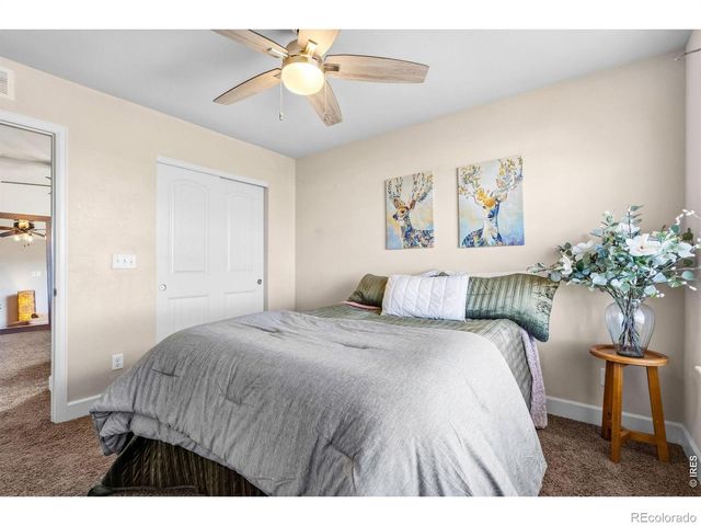 174 Halibut Drive, Windsor, CO 80550