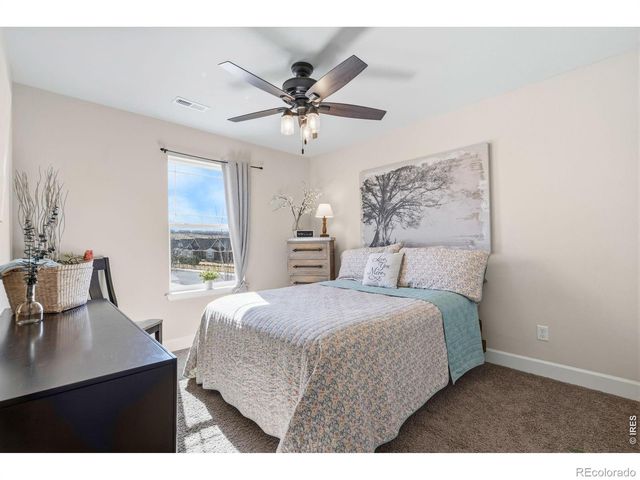 174 Halibut Drive, Windsor, CO 80550