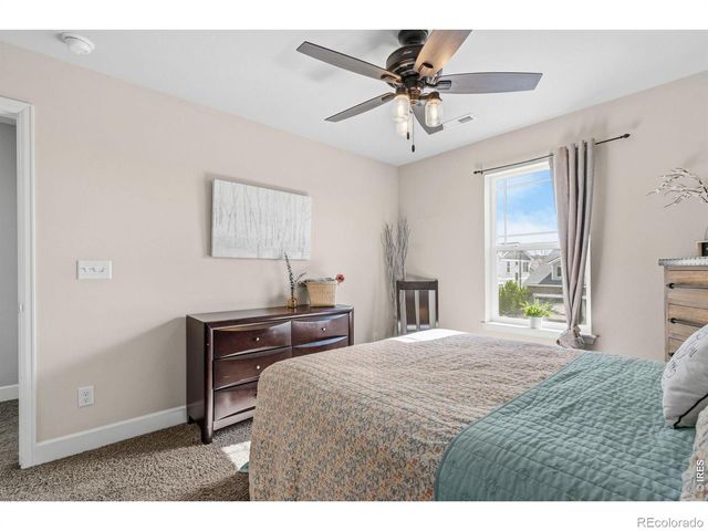 174 Halibut Drive, Windsor, CO 80550