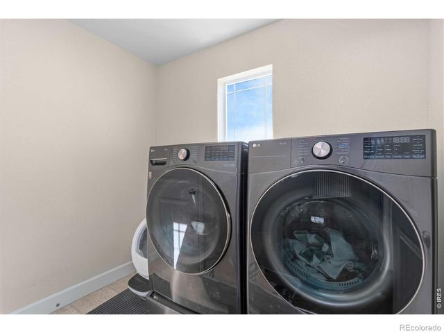 174 Halibut Drive, Windsor, CO 80550