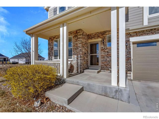 174 Halibut Drive, Windsor, CO 80550