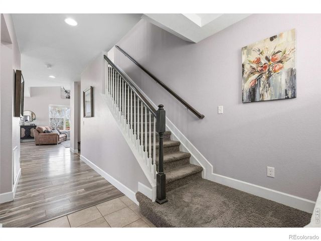 174 Halibut Drive, Windsor, CO 80550