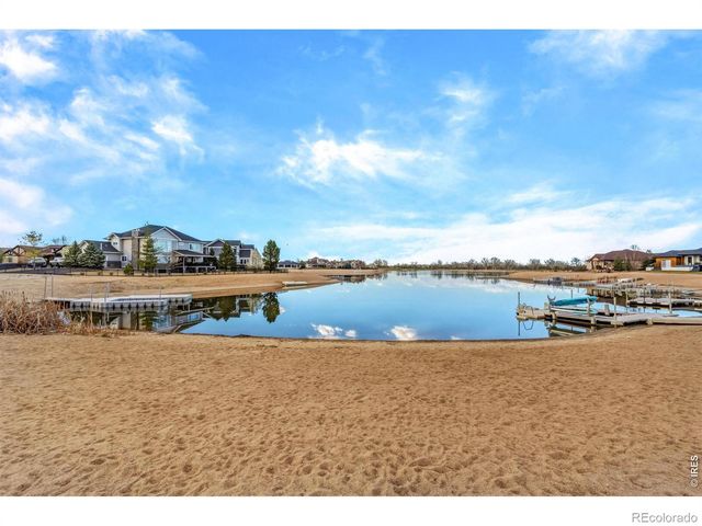 174 Halibut Drive, Windsor, CO 80550