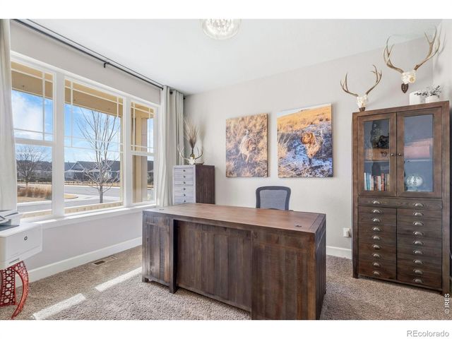 174 Halibut Drive, Windsor, CO 80550