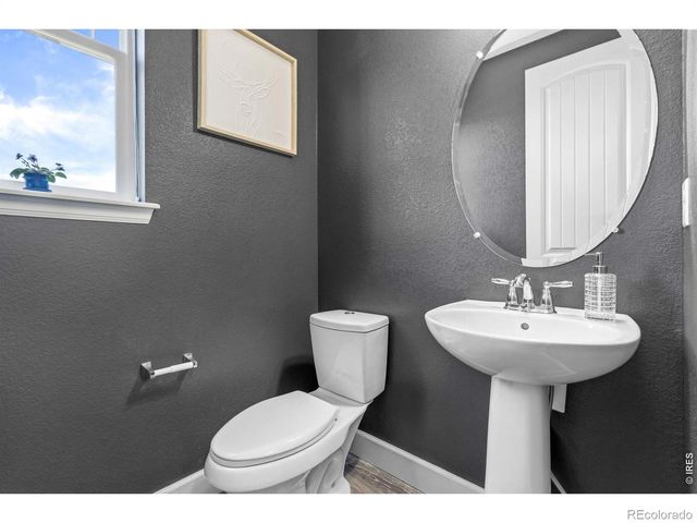 174 Halibut Drive, Windsor, CO 80550