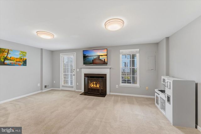 21036 LEMON SPRINGS TER, Ashburn, VA 20147