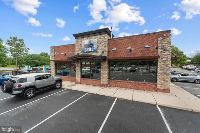 21036 LEMON SPRINGS TER, Ashburn, VA 20147