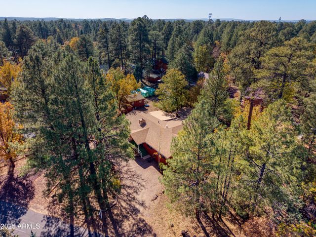 537 W BILLY CREEK Drive, Lakeside, AZ 85929