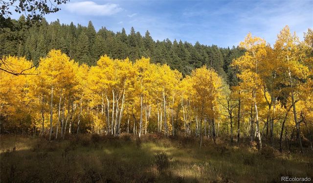 890 Royal Ridge Drive, Bailey, CO 80421