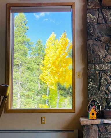 890 Royal Ridge Drive, Bailey, CO 80421
