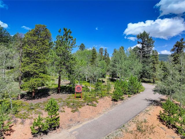890 Royal Ridge Drive, Bailey, CO 80421