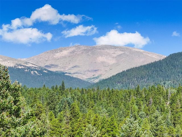 890 Royal Ridge Drive, Bailey, CO 80421