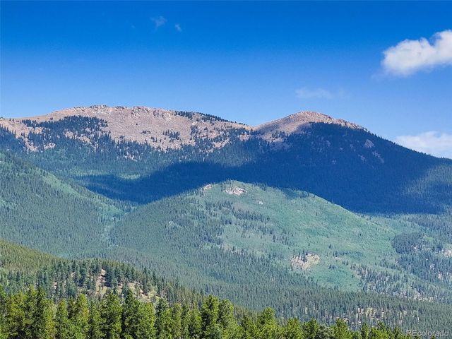 890 Royal Ridge Drive, Bailey, CO 80421