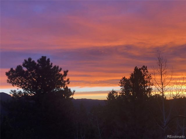 890 Royal Ridge Drive, Bailey, CO 80421