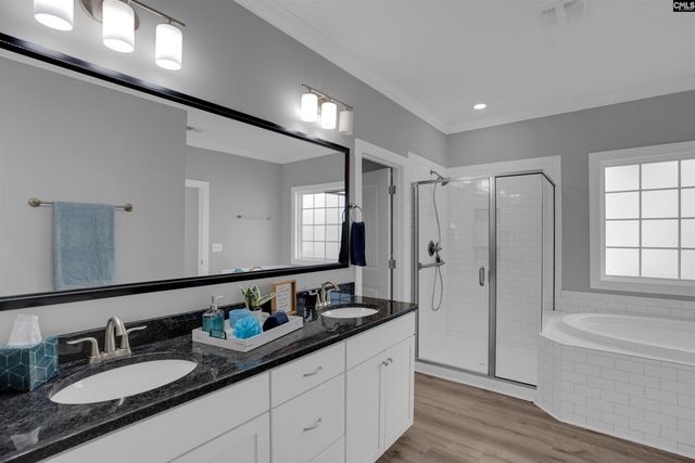 148 Almofini Lane, Chapin, SC 29036