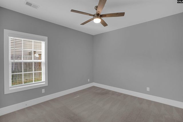 148 Almofini Lane, Chapin, SC 29036