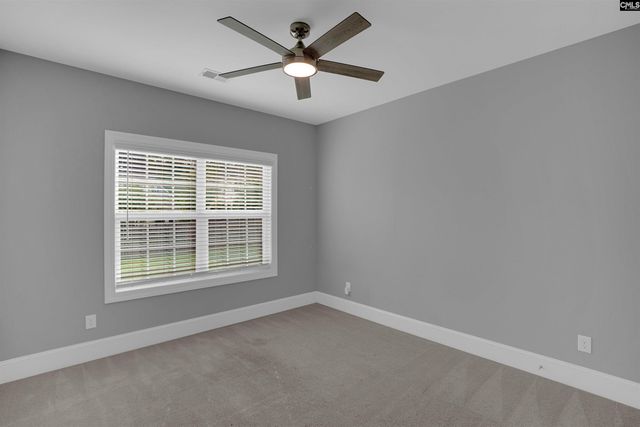 148 Almofini Lane, Chapin, SC 29036