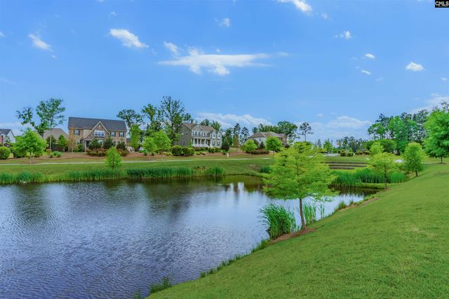 148 Almofini Lane, Chapin, SC 29036