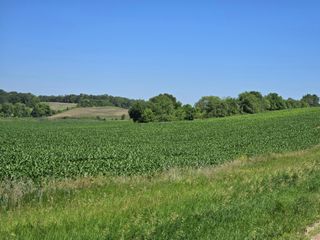 TBD County Hwy 83, Battle Lake, MN 56515