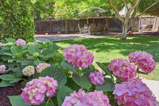 918 Chabrant Way, San Jose, CA 95125